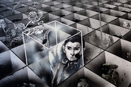 Libros ilustrados para adultos